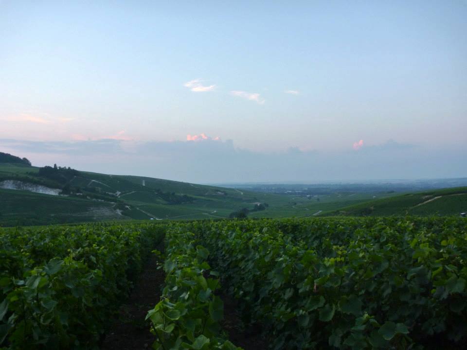 Sint-Martinus den XIIde - Kamp Curfoz JIN 2013